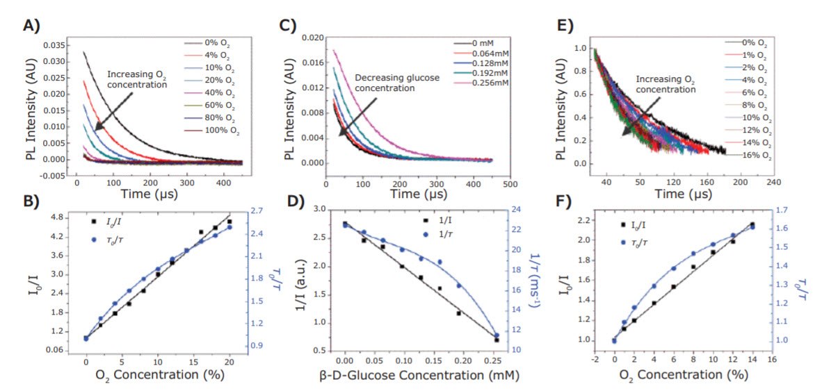 effect-concentration-gas-phase The effect of concentration of gas-phase O2