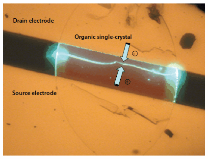 Ambipolar FET producing bright electroluminescence Ambipolar FET producing bright electroluminescence