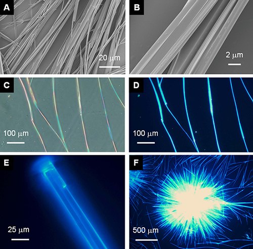 (<b>A</b>, <b>B</b>) SEM, (<b>C</b>) optical and (<b>D–F</b>) fluorescent images of the microfibers of BTPE obtained by slow evaporation of its THF/ethanol solutions on (<b>A, B</b>) copper grids and (<b>C–F</b>) quartz plates (A, B) SEM, (C) optical and (D–F) fluorescent images of the microfibers of BTPE obtained by slow evaporation of its THF/ethanol solutions on (A, B) copper grids and (C–F) quartz plates