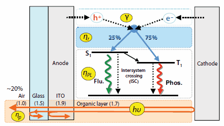 OLED luminescence processes (carrier injection, transport, recombination, exciton formation/decay, and light extraction) and their efficiencies. Figures in parentheses represent refractive indices. OLED luminescence processes (carrier injection, transport, recombination, exciton formation/decay, and light extraction) and their efficiencies. Figures in parentheses represent refractive indices.