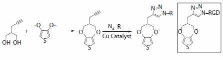 Polymer tissue interface Chemical structure of an alkyne-substituted ProDOT monomer