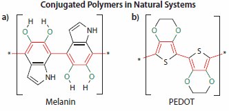 Repeat Unit of Melanin Conjugated polymers in natural system