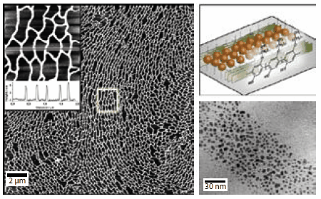 Self-assembled maze structures of gold nanoparticles Self-assembled maze structures of gold nanoparticles. The structures were assembled at the air-water interface by co-spreading gold nanoparticles together with an amphiphilic polymer. AFM overview of the maze structure (left), illustration of the self-assembly process (top right) and high resolution TEM of a wire consisting of gold nanoparticles.