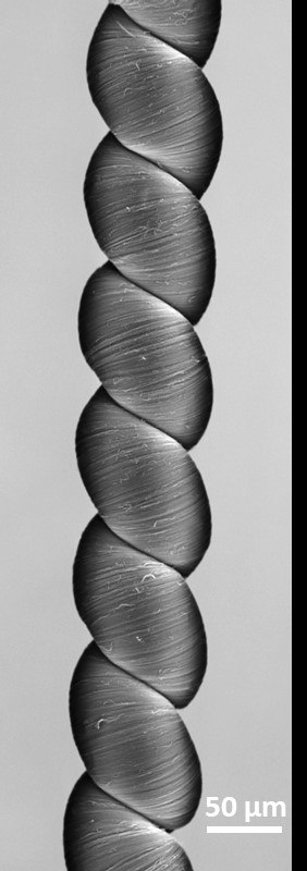 SEM of a coiled CNT yarn by further twisting a twisted CNT yarn SEM of a coiled CNT yarn by further twisting a twisted CNT yarn