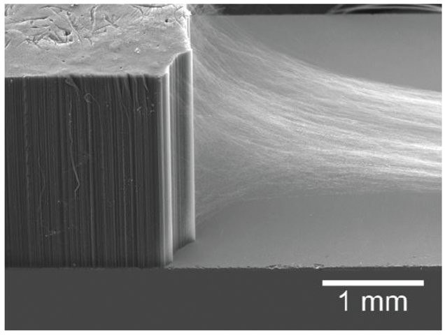 SEM of a drawable carbon nanotube array, with CNT sheet pulled out from the side. SEM of a drawable carbon nanotube array, with CNT sheet pulled out from the side.