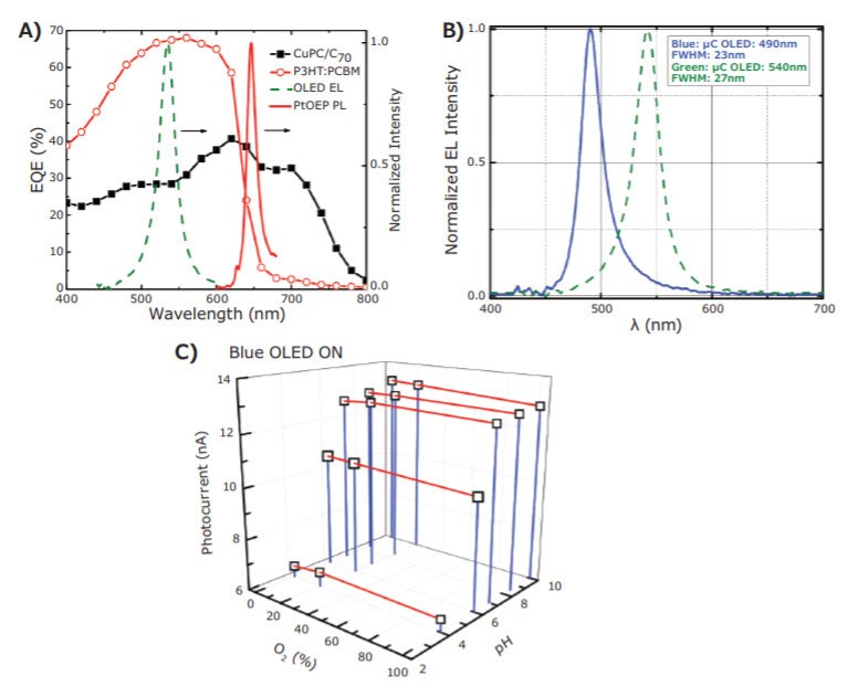 spectrum  EQEs of CuPc/C70 and P3HT:PCBM based OPDs. The device structures are ITO/1 nm LiF/15 nm CuPc/30 nm C70/3.5 nm BPhen/120 nm Al and ITO/PEDOT:PSS/P3HT:PCBM/ Ca/Al. Also shown are the EL of the green µC OLED (green dashed line) and red PL of the PtOEP:PEG:PS sensing film (red line). B) The EL of the green and blue µC OLEDs. C) The signal intensity detected by the P3HT:PCBM OPD at different O2 and pH levels with the blue µC OLED. Reprinted with permission from reference 8, copyright 2013 Elsevier B.V.