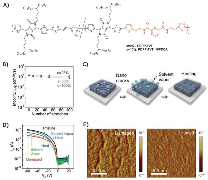 Stress Dissipation and Healing Mechanism through Hydrogen Bonding Stress Dissipation and Healing Mechanism through Hydrogen Bonding