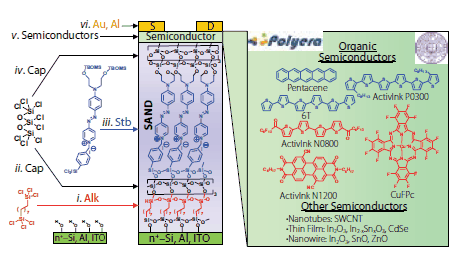 tft-schematic-represent tft schematic represent