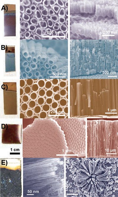 Digital pictures of the samples and frontal Digital pictures of the samples and frontal
