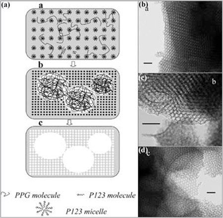 Formation mechanism of thin films with hierarchical porous architecture Formation mechanism of thin films with hierarchical porous architecture