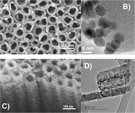 HRTEM images of TiNT arrays deposited HRTEM images of TiNT arrays deposited
