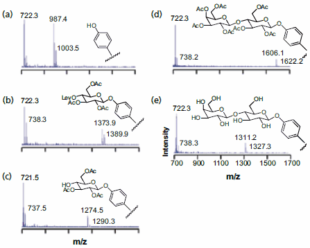 Chemistry at Surfaces with Self-Assembled Monolayers and SAMDI-ToF Mass Spectrometry SAMDI MS was used to characterize the surface after each step of a disaccharide synthesis on a monolayer substrate