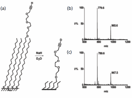 Chemistry at Surfaces with Self-Assembled Monolayers and SAMDI-ToF Mass Spectrometry SAMDI MS is used to characterize the exchange of hydrogen for deuterium in a terminal alkyne