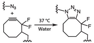 spaac-between-an-azide SPAAC between an azide and a difluorocyclooctyne eliminates the need for a copper catalyst and allows material fabrication under physiological conditions.