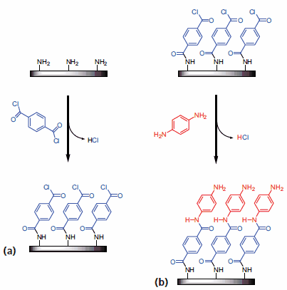 Illustration of the surface chemistry for poly(p-phenylene terephthalamide) MLD Illustration of the surface chemistry for poly(p-phenylene terephthalamide) MLD