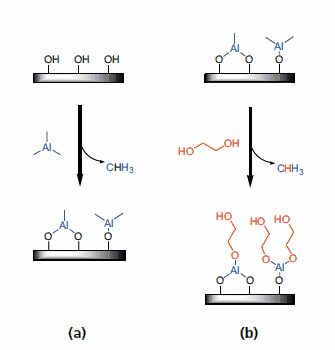 Illustration of the surface chemistry for poly(aluminum ethylene glycol) MLD  Illustration of the surface chemistry for poly(aluminum ethylene glycol) MLD