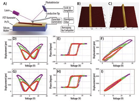 schematics-of-piezoelectric Schematics of piezoelectric force microscopy (PFM) testing setup