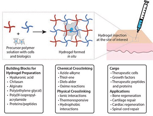 Injectable hydrogels for cell delivery and tissue engineering applications Injectable hydrogels for cell delivery and tissue engineering applications