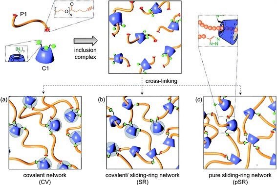 A schematic of the different network formation strategies applied in a hydrogel produced from alkyne-functionalized PEG and azide-functionalized CD. A schematic of the different network formation strategies applied in a hydrogel produced from alkyne-functionalized PEG and azide-functionalized CD.
