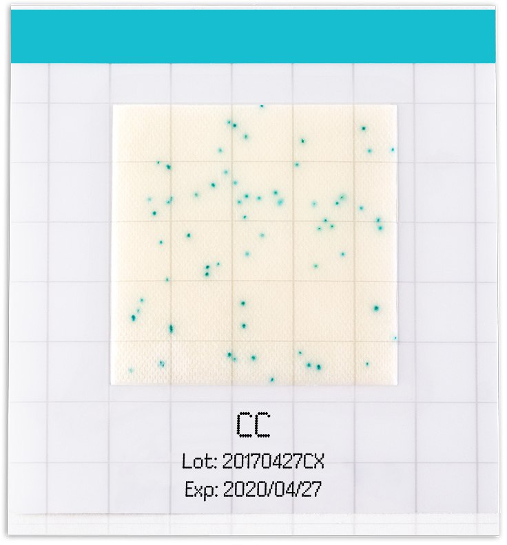 Coliforms develop blue/blue-green colored colonies due to β-galactosidase production MC-Media Pad Coliform
