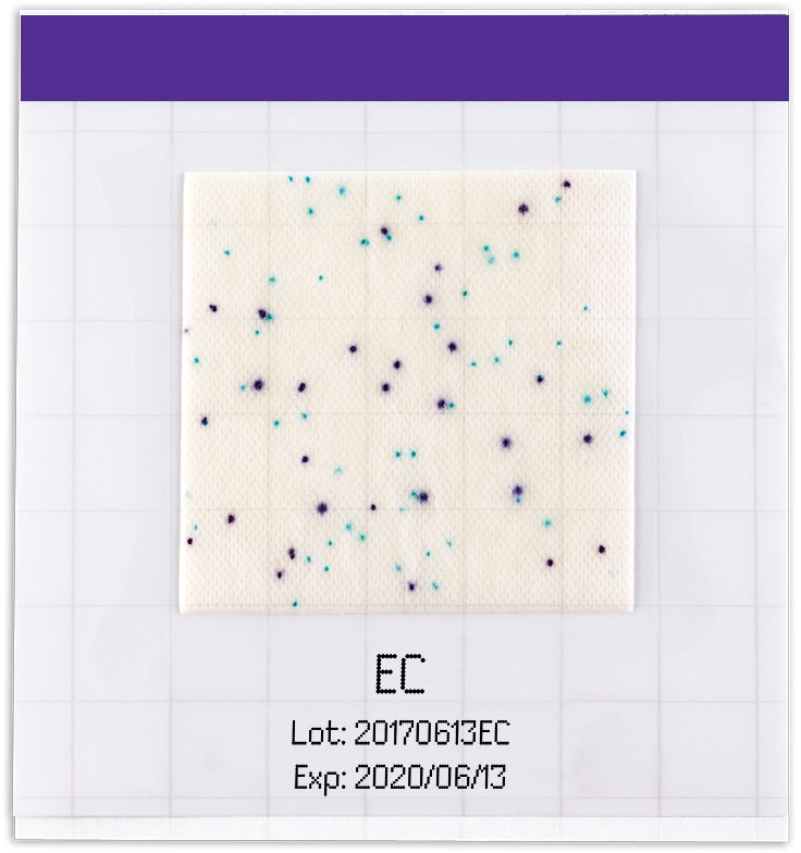 Coliforms develop blue/blue-green colored colonies due to β-galactosidase production MC-Media Pad E. coli & Coliform