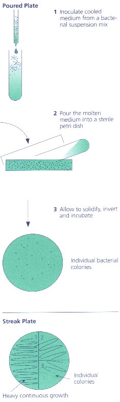 Microbiological culture methods microbiological culture methods