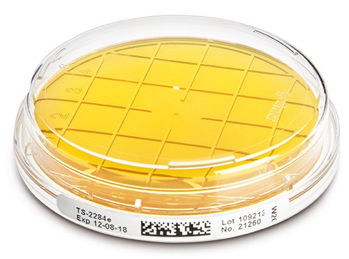 ICR and ICR plus plates ICR and ICR plus plates