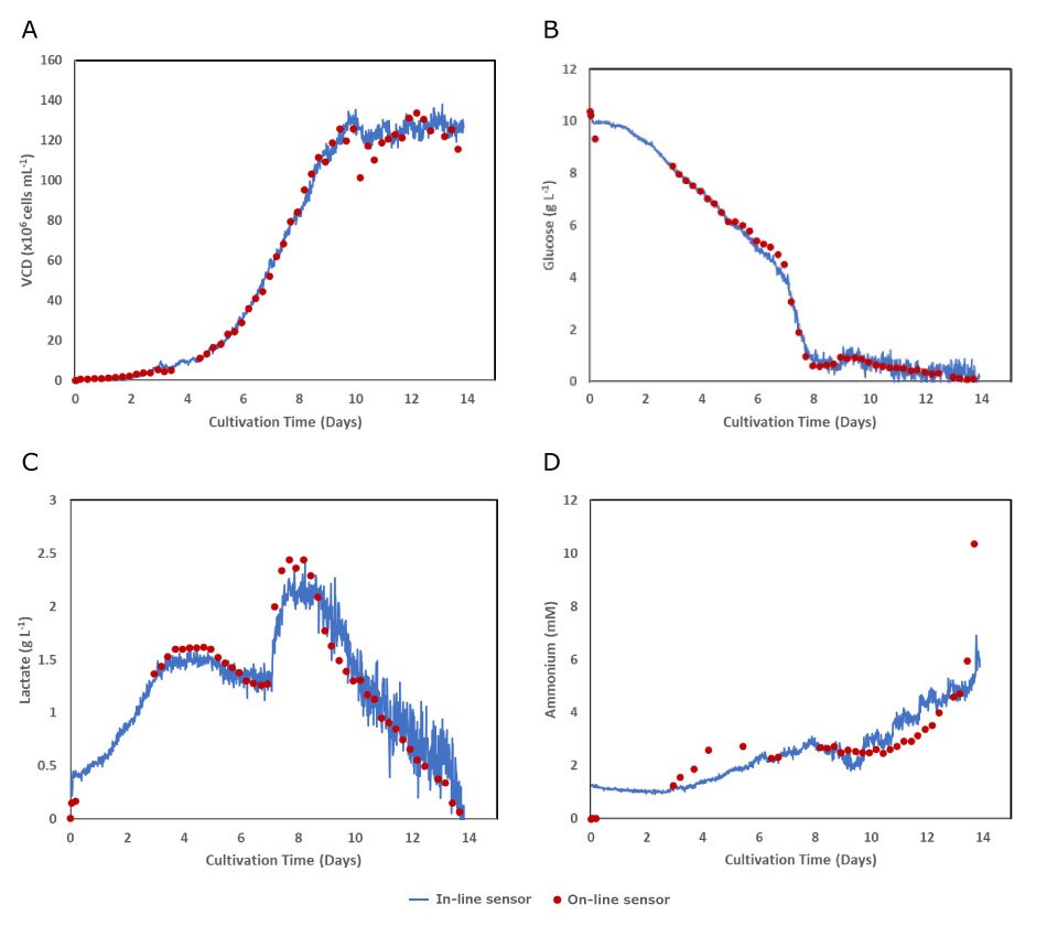 In-line Raman sensor data measuring viable cell density (VCD) (A), glucose (B), lactate (C), and ammonium (D) was comparable to automated sampling on-line data with the MAST<sup>®</sup> Autosampling Solution.  In-line Raman sensor measurements and on-line automated sampling of VCD, glucose, lactate and ammonium were performed during 14 days and show comparable performance in all cases.