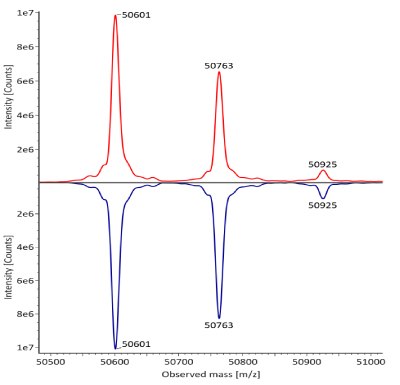 Deconvulated mass spectra for heavy chain of fully reduced trastuzumab. Red: Innovator; Blue: Biosimilar. The deconvoluted mass spectra for the heavy chain of fully reduced trastuzumab reveal distinct peaks at mass values of 50601, 50763, and 50925 from left to right. The innovator is depicted by a red curve, and the biosimilar by a blue curve, with intensity measured in counts on the y-axis and observed mass on the x-axis.