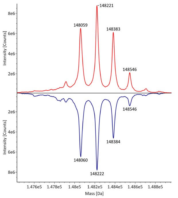 The deconvoluted mass spectra for non-reduced trastuzumab reveals distinct peaks at mass values of 148059, 148221, 148383, and 148546 from left to right. The innovator is depicted by a red curve, and the biosimilar by a blue curve, with intensity measured in counts on the y-axis and observed mass on the x-axis. The deconvoluted mass spectra for non-reduced trastuzumab reveals distinct peaks at mass values of 148059, 148221, 148383, and 148546 from left to right. The innovator is depicted by a red curve, and the biosimilar by a blue curve, with intensity measured in counts on the y-axis and observed mass on the x-axis.