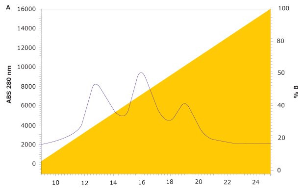 FcR affinity chromatographic analysis of rituximab on the new TSKgel® FcR-IIIA-NPR column Three peaks representing variants in the FcR affinity chromatographic analysis of rituximab on the new TSKgel® FcR-IIIA-NPR column