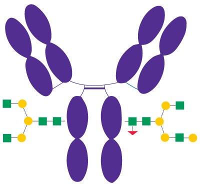 Schematic Diagram of Rituximab Diagrammatic representation of Rituximab