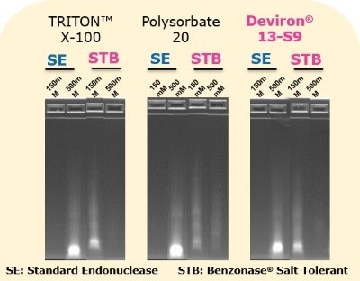 Benzonase® Salt Tolerant endonuclease retains its ability to digest DNA when used in combination with different detergents Benzonase<sup>®</sup> 내염성 엔도뉴클레아제는 polysorbate 20, Triton X-100, Deviron<sup>®</sup> C16 또는 Deviron<sup>®</sup> 13-S9를 포함하는 여러 세제와 조합되었을 때 DNA 절단 능력을 여전히 유지합니다.