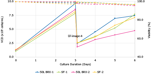 Lentivirus Production in Mobius® 50L Single-Use Bioreactor Figure 4. VirusExpress® 293T Lentiviral Production Cells were expanded in Mobius® 50 L Single-Use Bioreactor at N-1 stage for 3 days, and then fresh medium was added volume up to 40L working volume. Cells were grown for 1 day prior to transfection with PEI based transfection reagent and 3rd generation lentivirus packaging plasmids and transfer plasmid with GFP reporter gene.  A total of 2 runs were completed.  Solid lines are cell growth data while dashed lines are cell viability (Figure 4). The bar graph consists of lentivirus infectivity titers obtained with HT1080 cells (Figure 5).