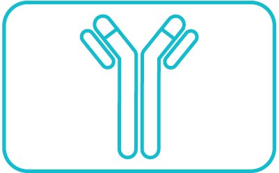 Survey Respondents Survey Respondents