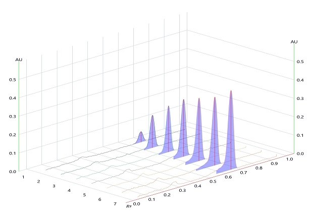 Densitogram for Linearity of betamethasone sodium phosphate measured at wavelength 254 nm. A 3-dimensional TLC-densitogram, obtained for the developed plate using a TLC analyzer and scanned at 254 nm. The x-axis on the flat rectangular surface shows the position of the tracks, ranging from 0 to 7, indicating where each compound starts on the plate. The y-axis displays the retention factor, ranging from 0.0 to 1.0 at intervals of 0.1. The z-axis represents the detector's response in absorbance units (AU), ranging from 0.0 to 0.5 at intervals of 0.1. Seven peaks rise from the flat rectangular surface, corresponding to the seven tracks spotted on the plate, labeled 1 to 7 from left to right. The peaks increase in height from track 1 to 7, indicating an increase in the concentration of betamethasone. All peaks are obtained at the same position just below the Rf value of 0.7.