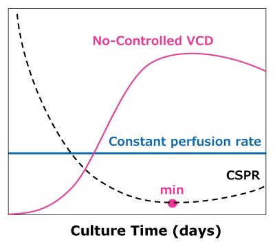 Dynamic perfusion In dynamic perfusion, VCD is allowed to reach a maximum level while running at a constant perfusion rate, reaching a minimum CSPR. In steady state perfusion, a minimum CSPR is not reached as cell growth is controlled through bleed, maintaining a constant VCD below the maximum.