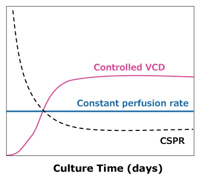 Steady state perfusion In dynamic perfusion, VCD is allowed to reach a maximum level while running at a constant perfusion rate, reaching a minimum CSPR. In steady state perfusion, a minimum CSPR is not reached as cell growth is controlled through bleed, maintaining a constant VCD below the maximum.