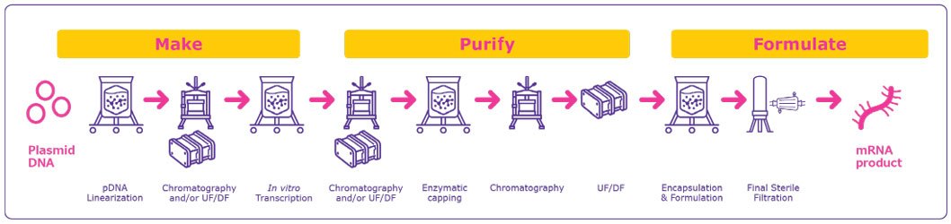 General process overview for mRNA manufacturing. General process overview for mRNA manufacturing