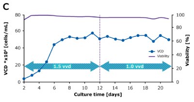 In dynamic perfusion, a high viable cell density (VCD) of 150 × 10^6 cells/mL at 1.5 VVD was achieved, and both volumetric (VP) and cell specific (qP) productivities were increased over time. In steady state perfusion, target VCD of 50 × 10^6 cells/mL was maintained at 1.5 and 1.0 VVD, and both VP and qP remained stable. In dynamic perfusion, a high viable cell density (VCD) of 150 × 10^6 cells/mL at 1.5 VVD was achieved, and both volumetric (VP) and cell specific (qP) productivities were increased over time. In steady state perfusion, target VCD of 50 × 10^6 cells/mL was maintained at 1.5 and 1.0 VVD, and both VP and qP remained stable.