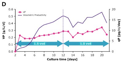 In dynamic perfusion, a high viable cell density (VCD) of 150 × 10^6 cells/mL at 1.5 VVD was achieved, and both volumetric (VP) and cell specific (qP) productivities were increased over time. In steady state perfusion, target VCD of 50 × 10^6 cells/mL was maintained at 1.5 and 1.0 VVD, and both VP and qP remained stable. In dynamic perfusion, a high viable cell density (VCD) of 150 × 10^6 cells/mL at 1.5 VVD was achieved, and both volumetric (VP) and cell specific (qP) productivities were increased over time. In steady state perfusion, target VCD of 50 × 10^6 cells/mL was maintained at 1.5 and 1.0 VVD, and both VP and qP remained stable.