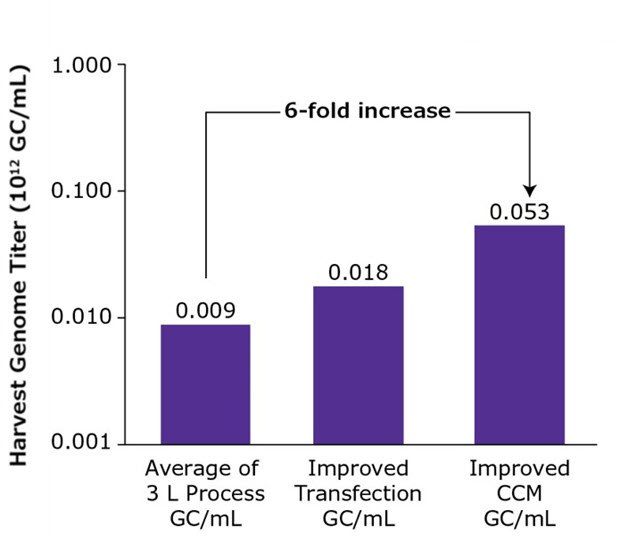 AAV production increase after improving transfection and cell culture media conditions AAV production increase after improving transfection and cell culture media conditions