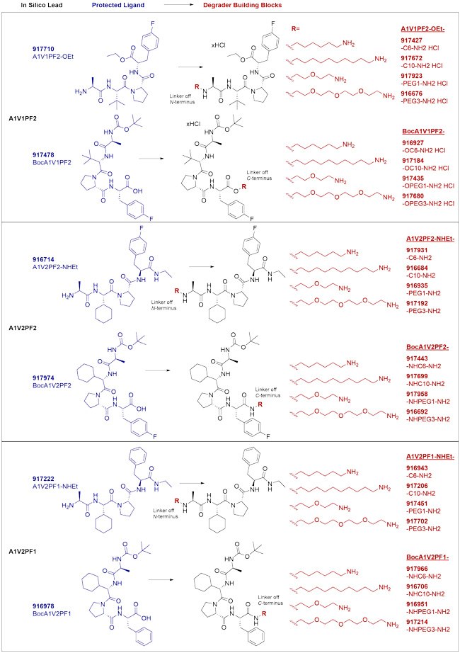 IAP-targeted ligands and degrader building blocks based on in silico screening of AVP mimetics. IAP-targeted ligands and degrader building blocks based on in silico screening of AVP mimetics.