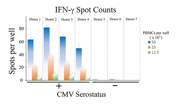 ELISpot assay using CMV-derived peptides to stimulate IFN-γ secretion. ELISpot assay using CMV-derived peptides to stimulate IFN-γ secretion.