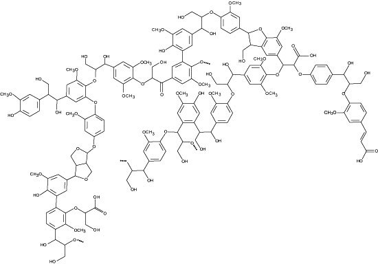 Lignin Lignin image
