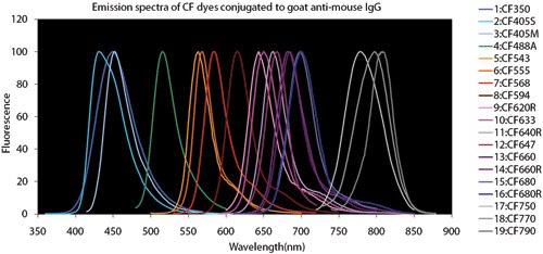 Fluorescent Dye Comparison Chart Fluorescent Dye Comparison Chart