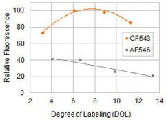 Relative fluorescence of CF543 Relative fluorescence of CF543