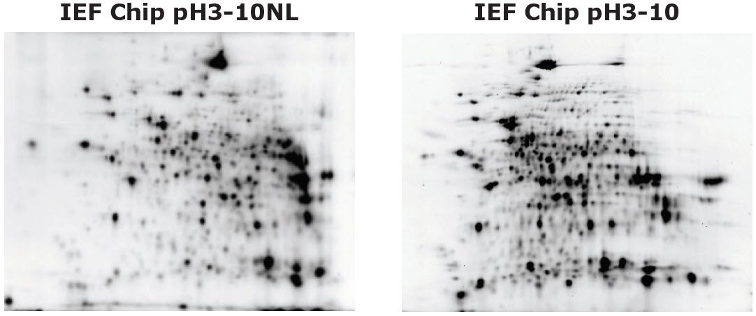 Auto2D<sup>®</sup> Device IEF Chip pH3-10 and IEF Chip pH3-10NL Auto2D® Device IEF Chip pH3-10 and IEF Chip pH3-10NL