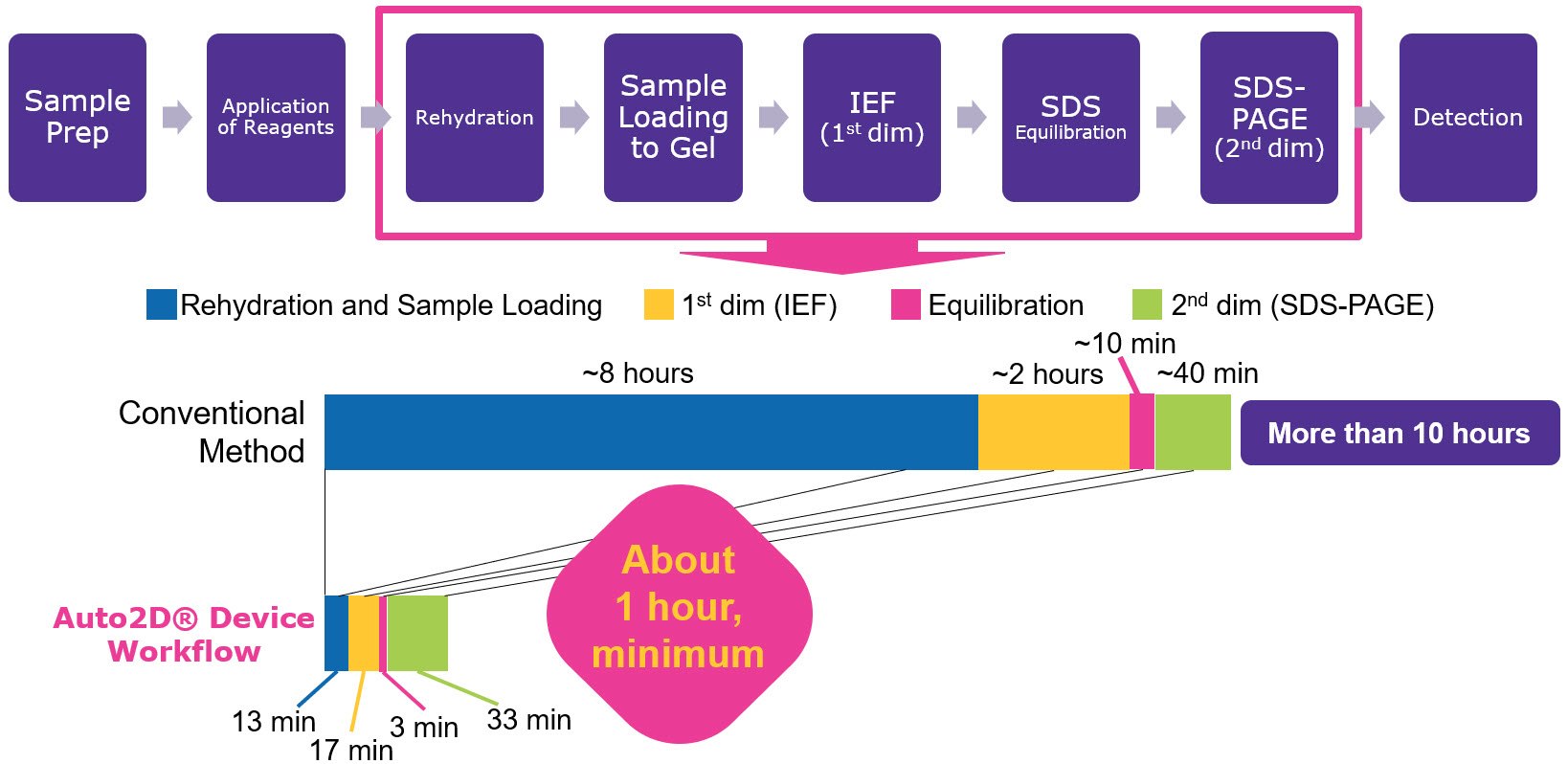 Two-dimensional gel electrophoresis workflow and the steps that are automated by the Auto2D® device. Two-dimensional gel electrophoresis workflow and the steps that are automated by the Auto2D® device.