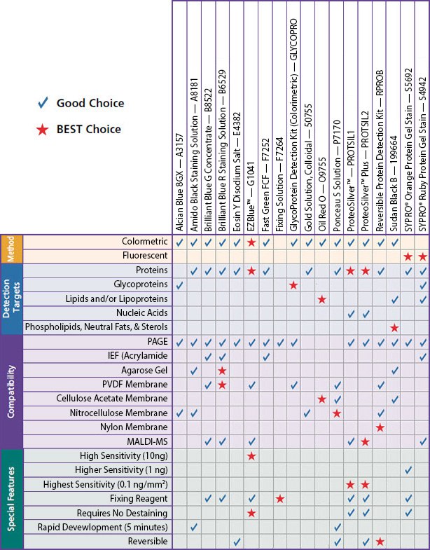 Protein Dyes and Stains Selection Chart Protein Dyes and Stains Selection Chart